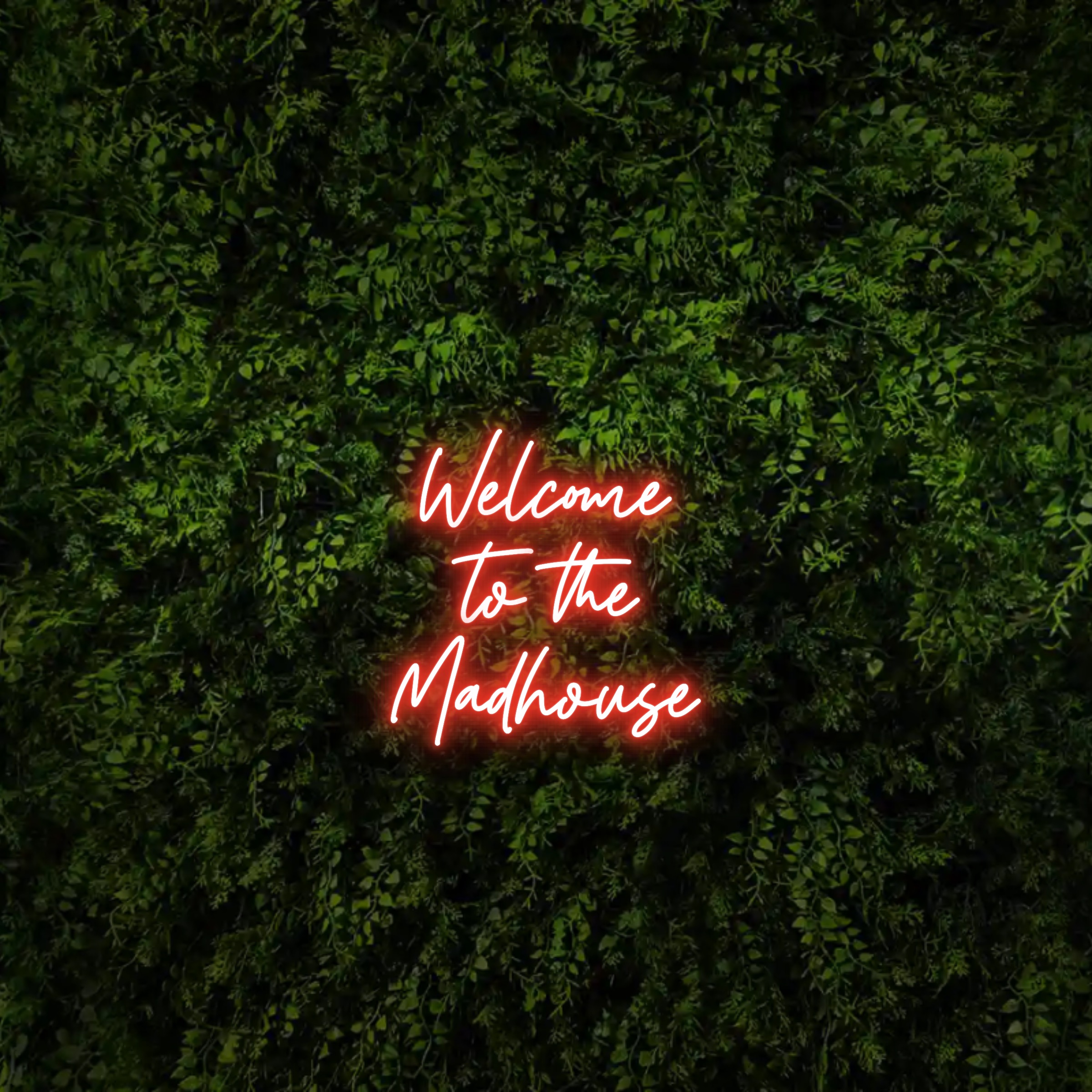 Welcome 
to the 
Madhouse – Neon Sign