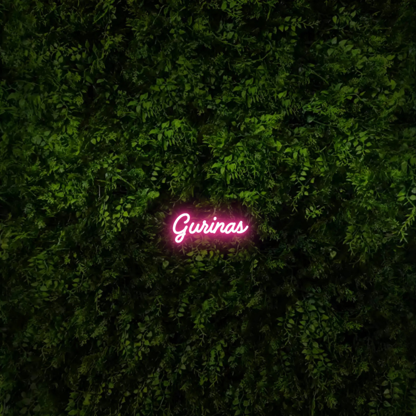 Gurinas – Neon Sign
