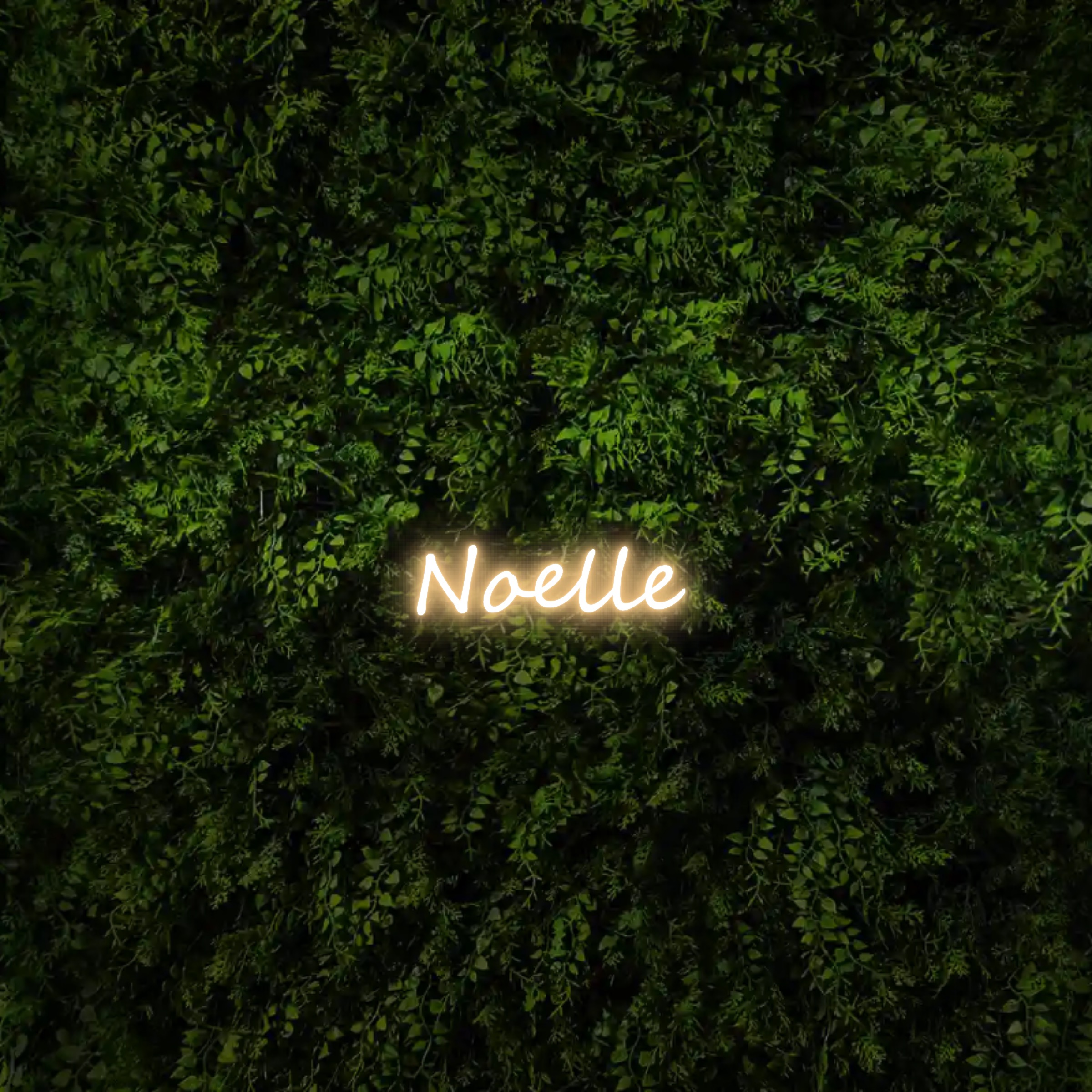 Noelle – Neon Sign