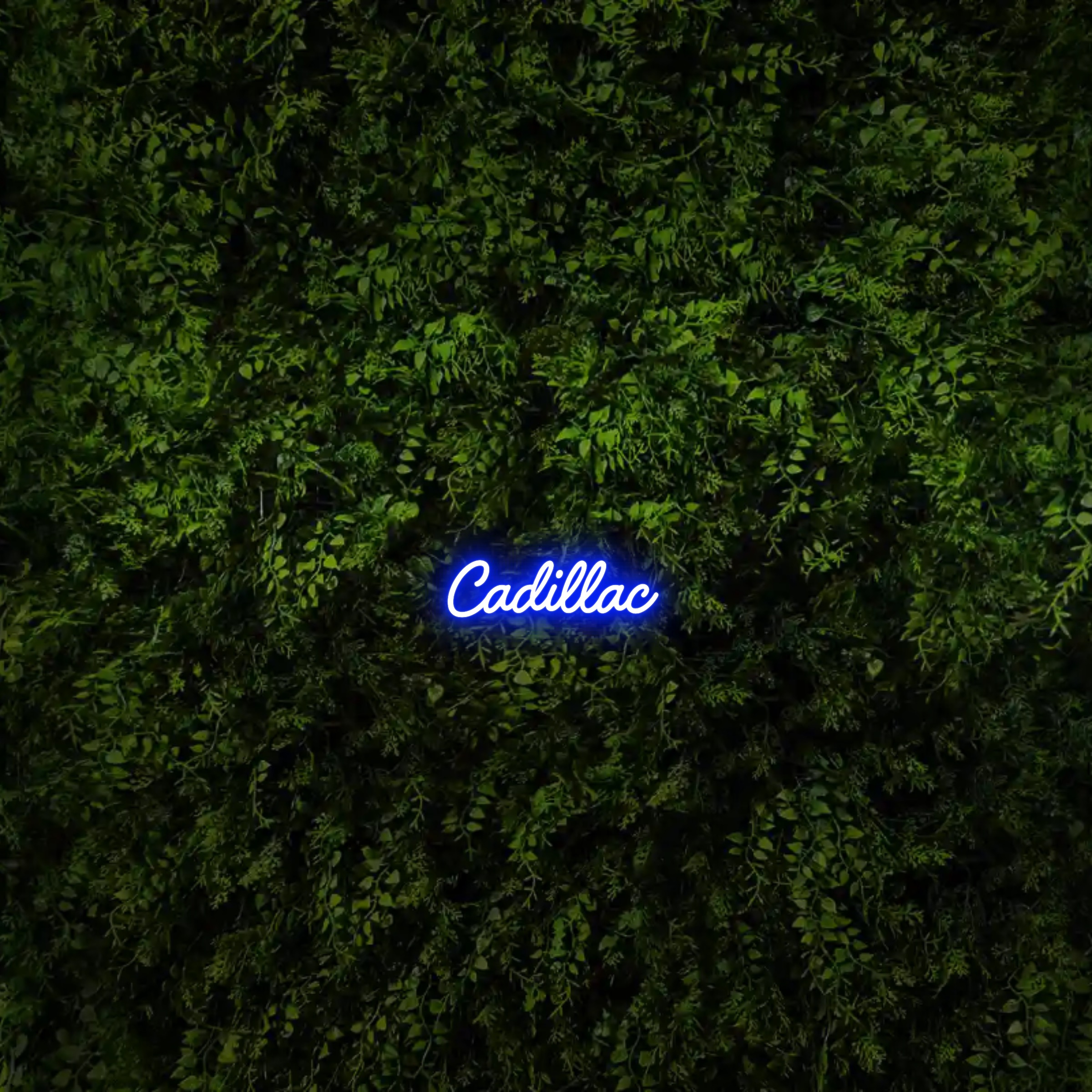 Cadillac – Neon Sign
