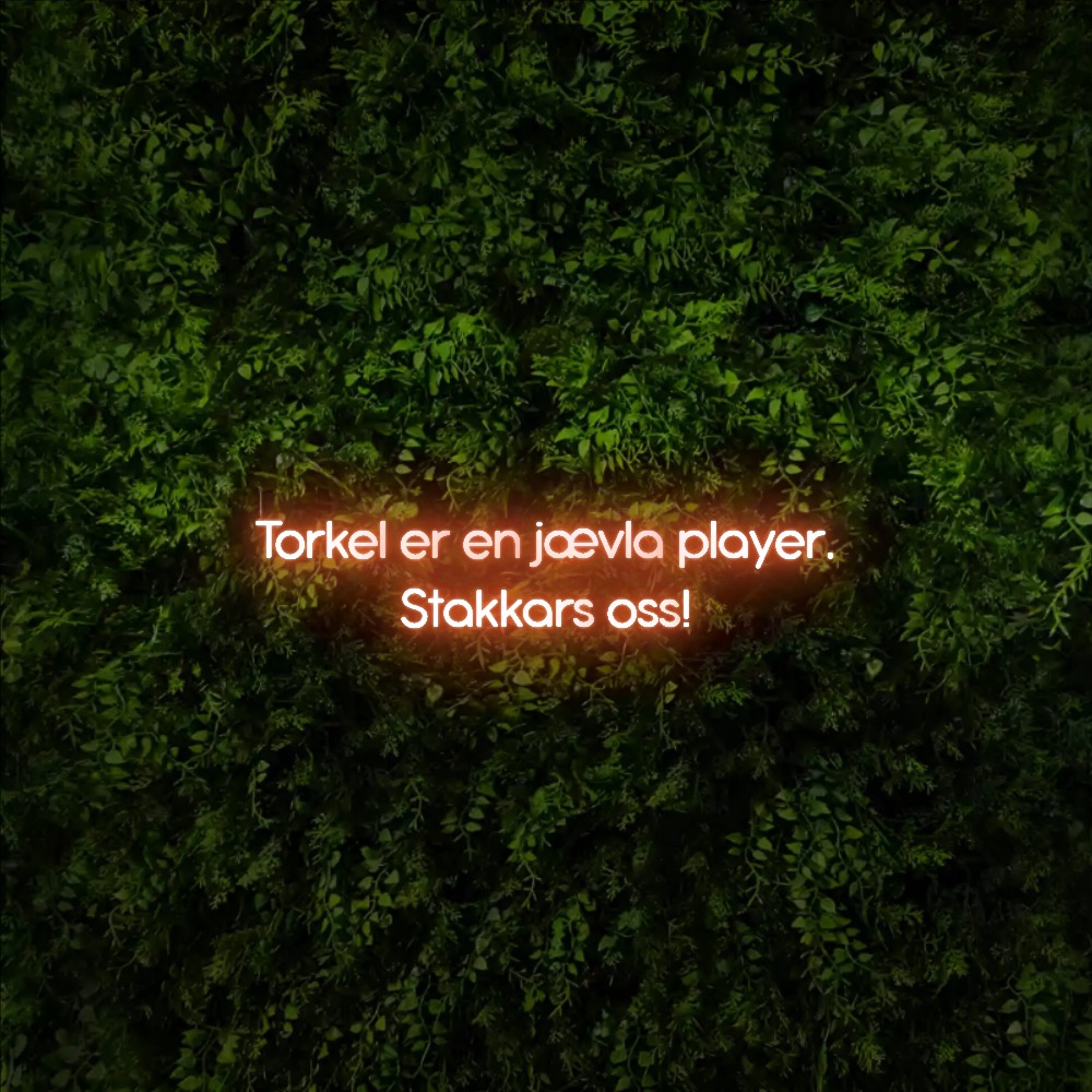 Torkel er en jævla player. 
Stakkars oss! – Neon Sign