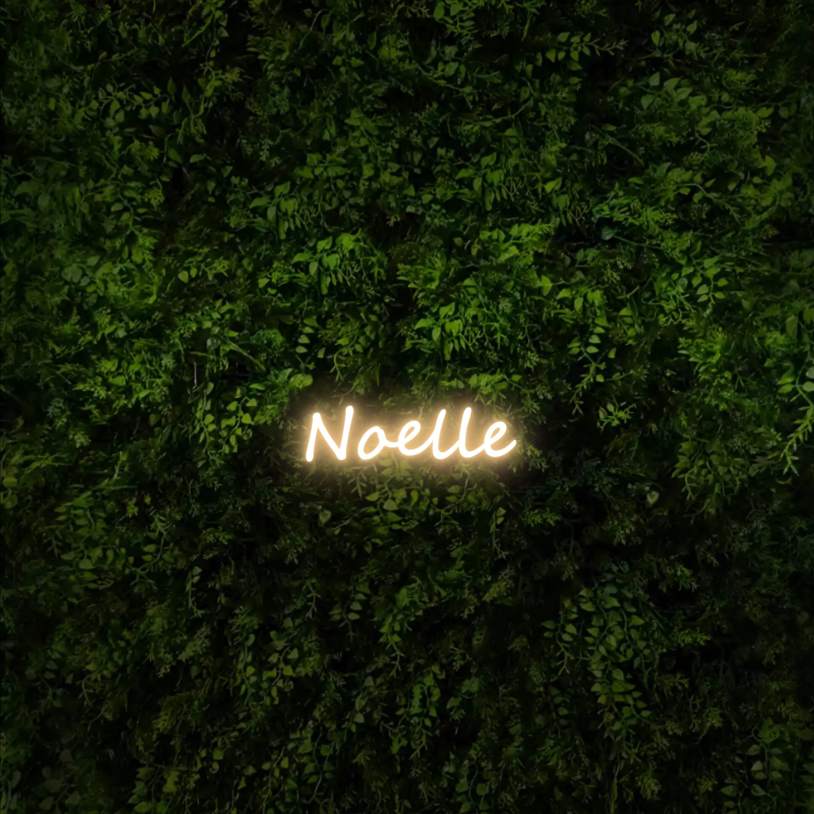 Noelle – Neon Sign
