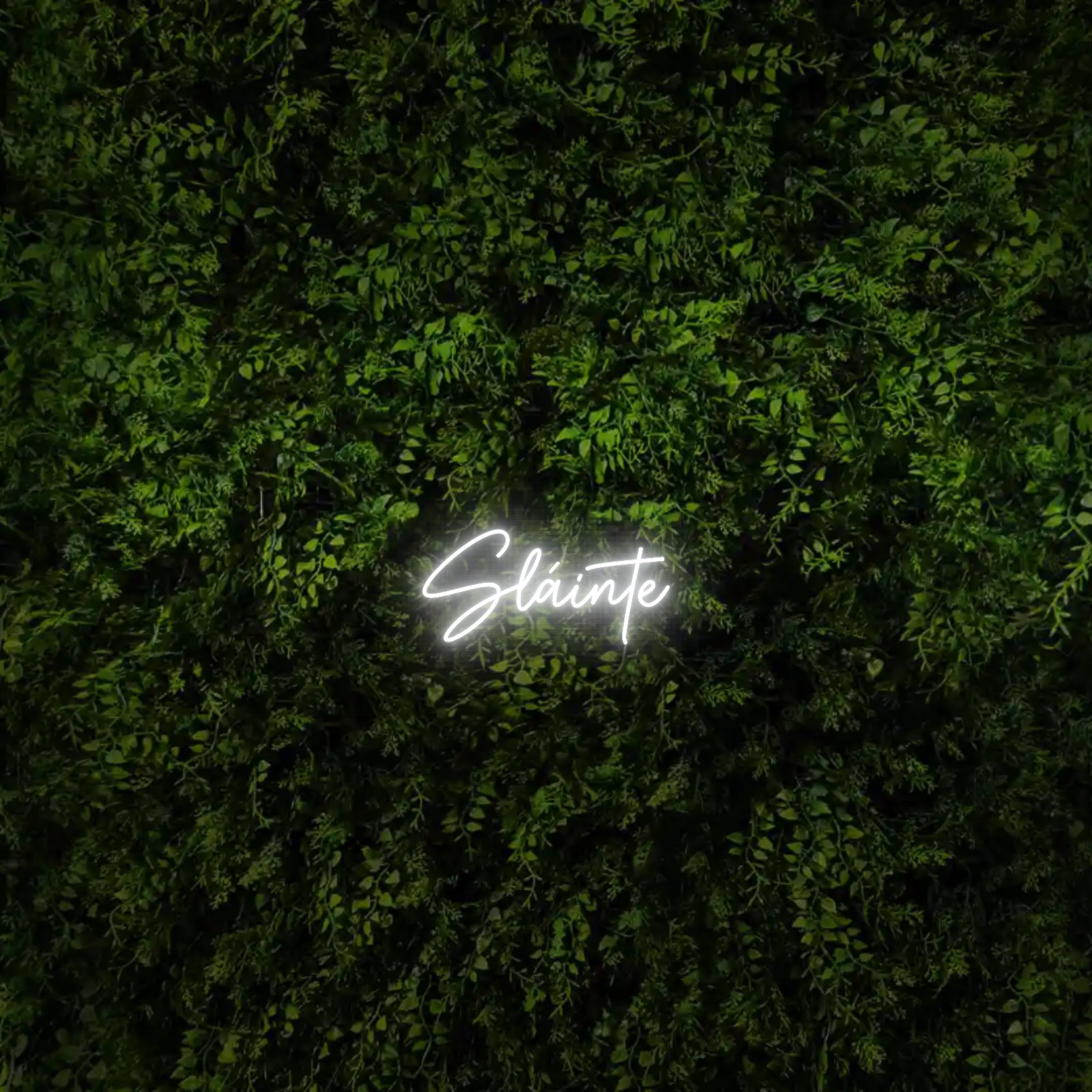 Sláinte – Neon Sign
