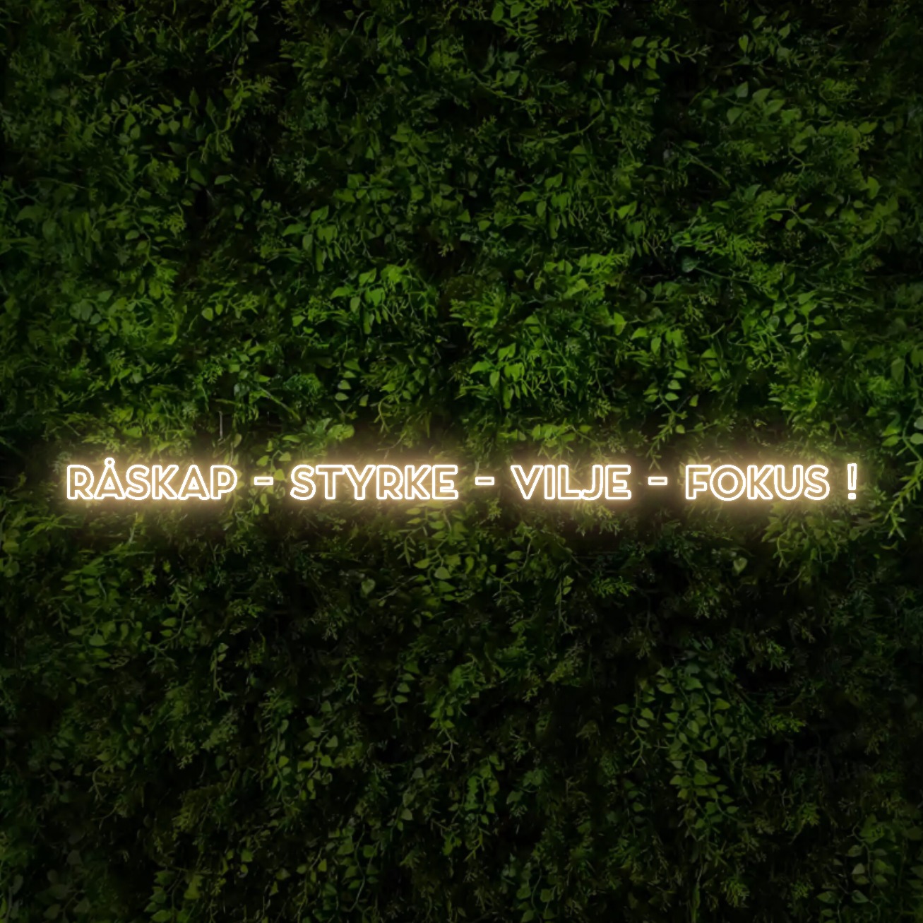 Råskap    –    Styrke    –    Vilje    –    Fokus ! – Neon Sign