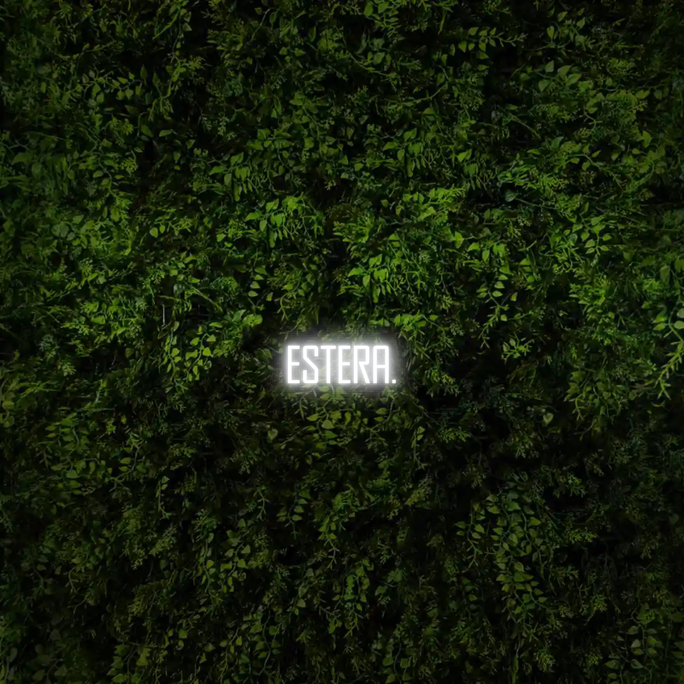 Estera. – Neon Sign