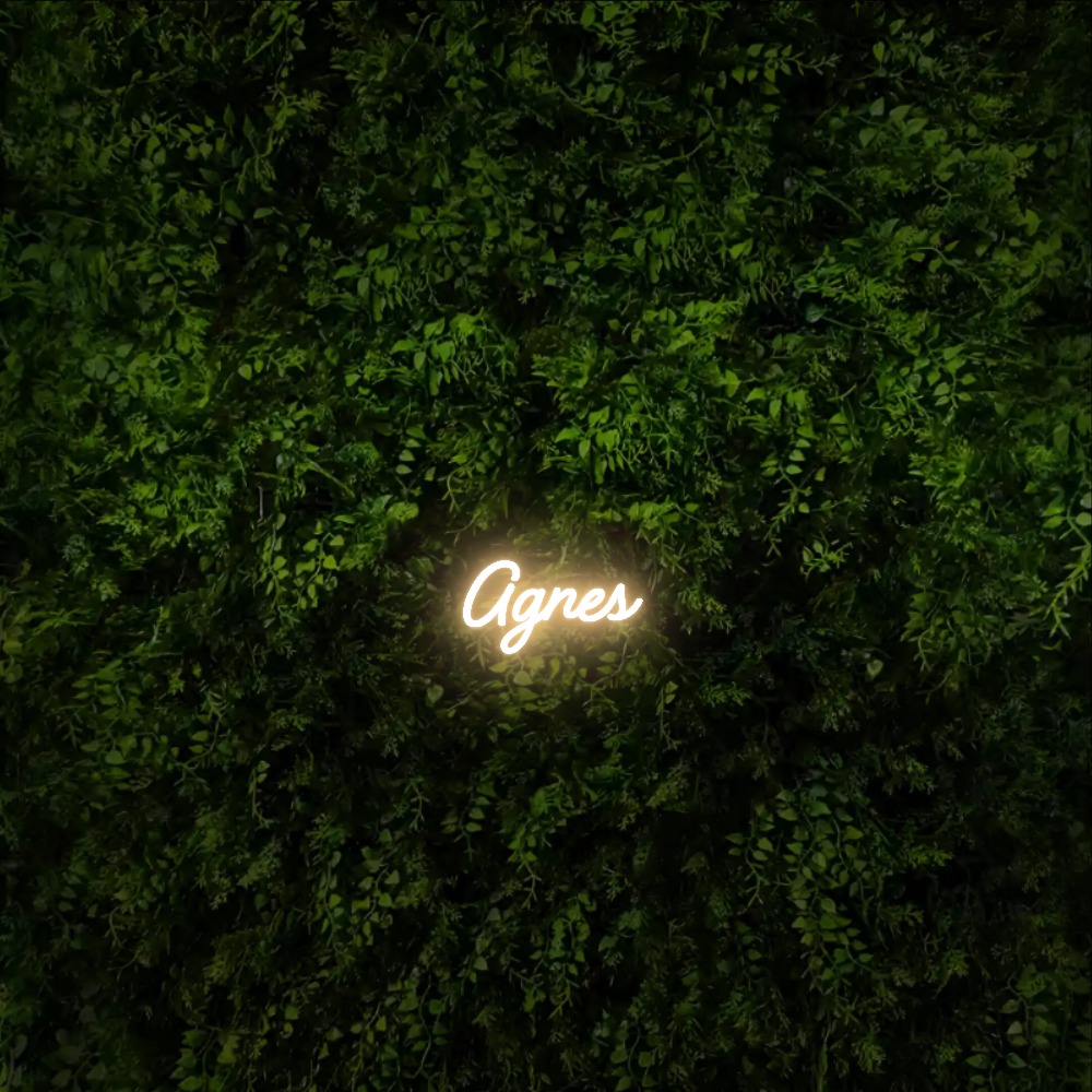 Agnes – Neon Sign