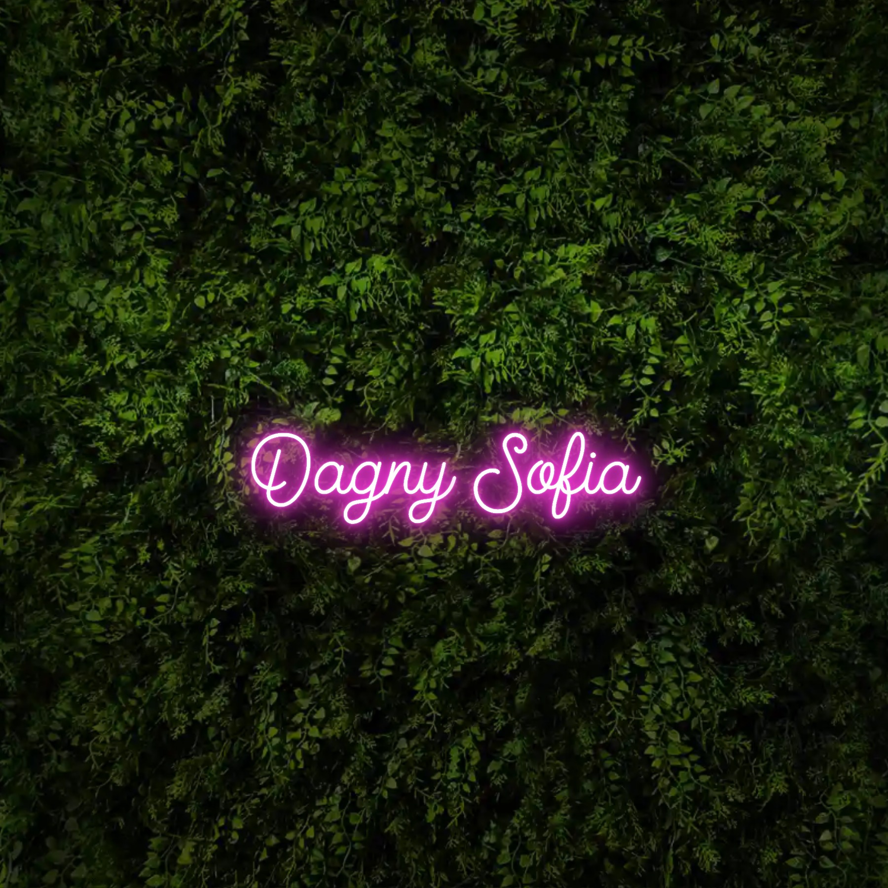Dagny Sofia – Neon Sign