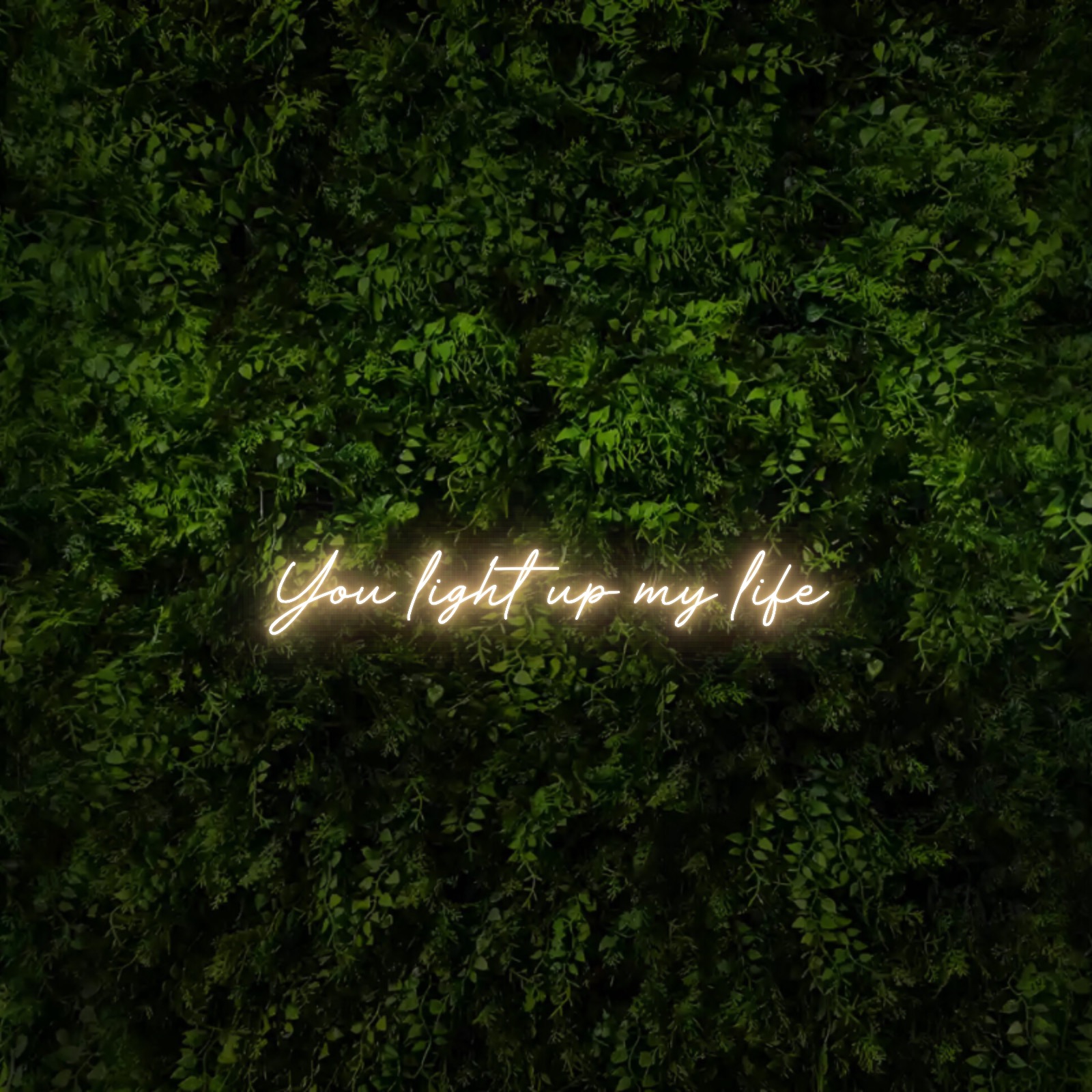 You light up my life – Neon Sign