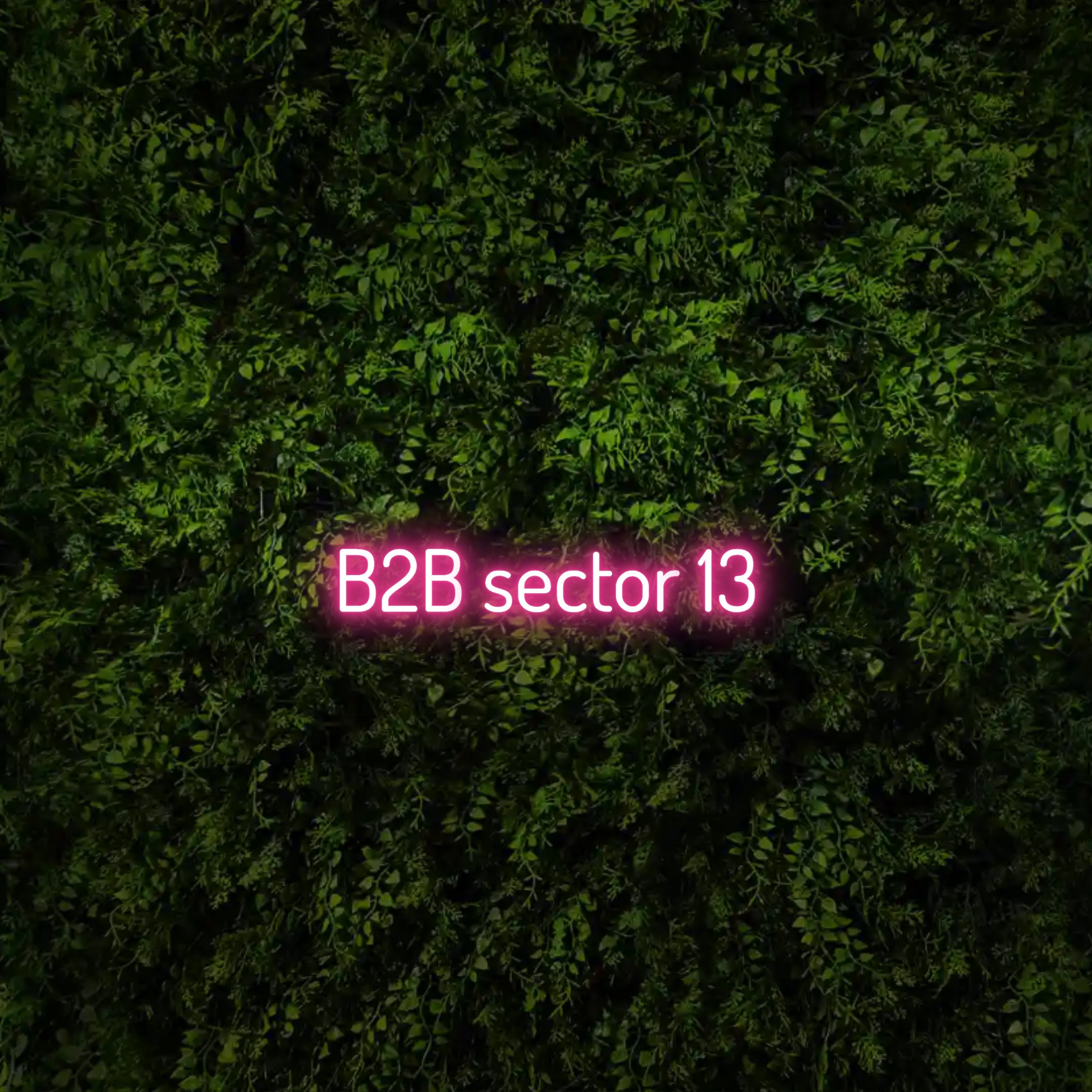B2B sector 13 – Neon Sign