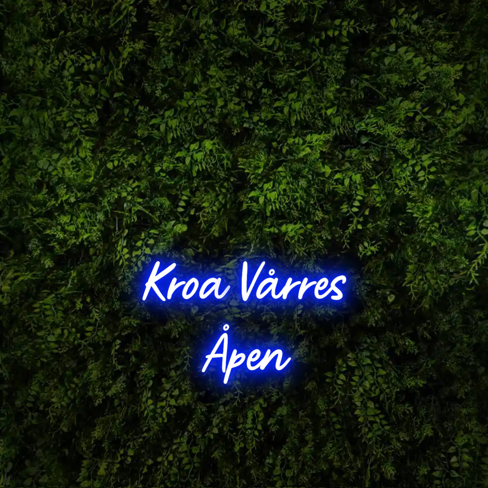 Kroa Vårres
Åpen  – Neon Sign