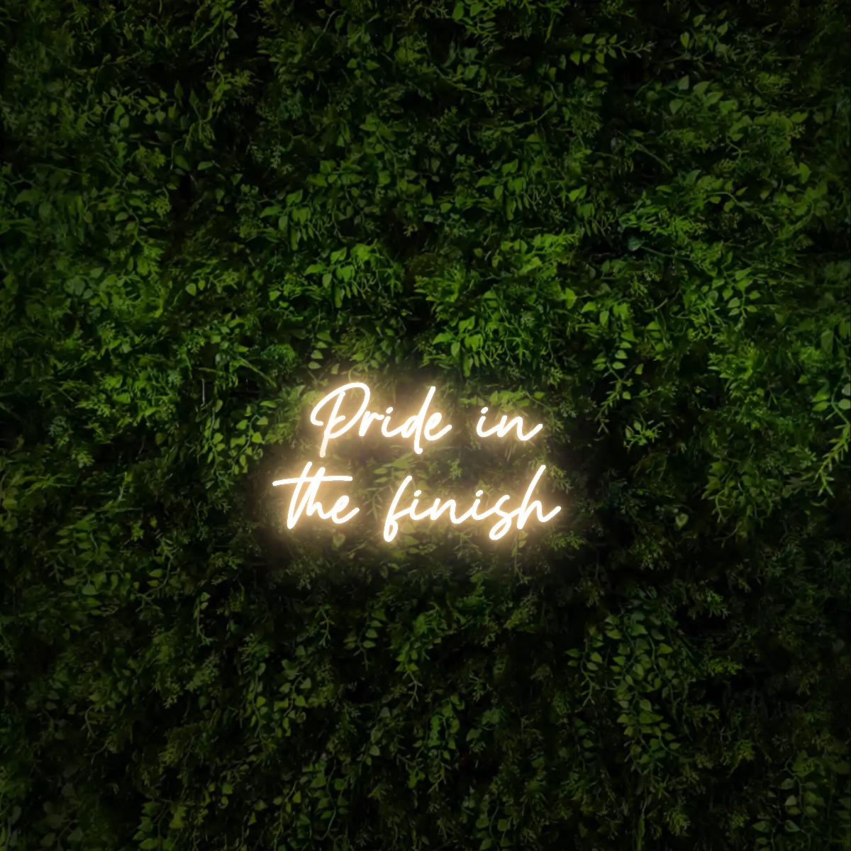 Pride in
the finish – Neon Sign