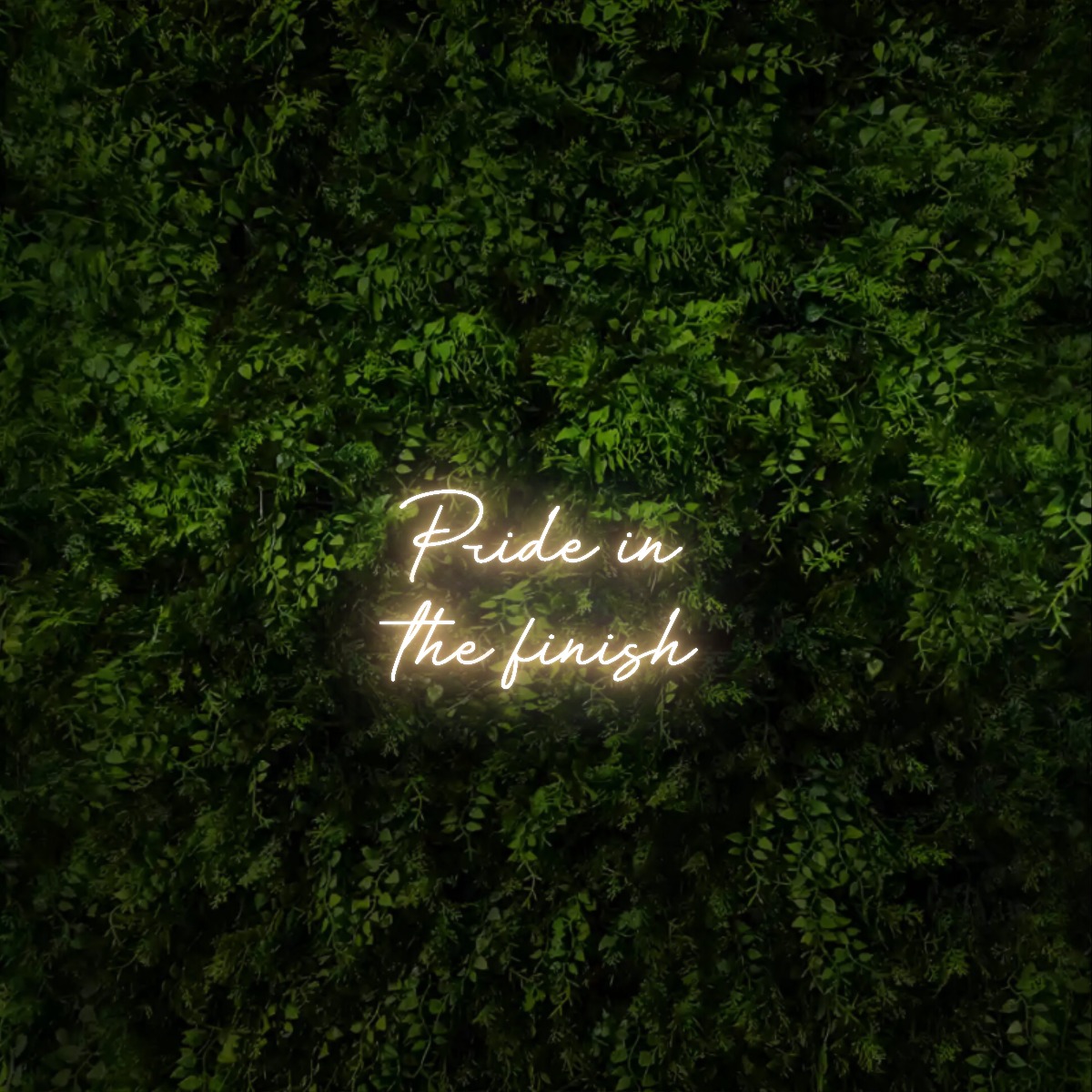 Pride in 
the finish – Neon Sign