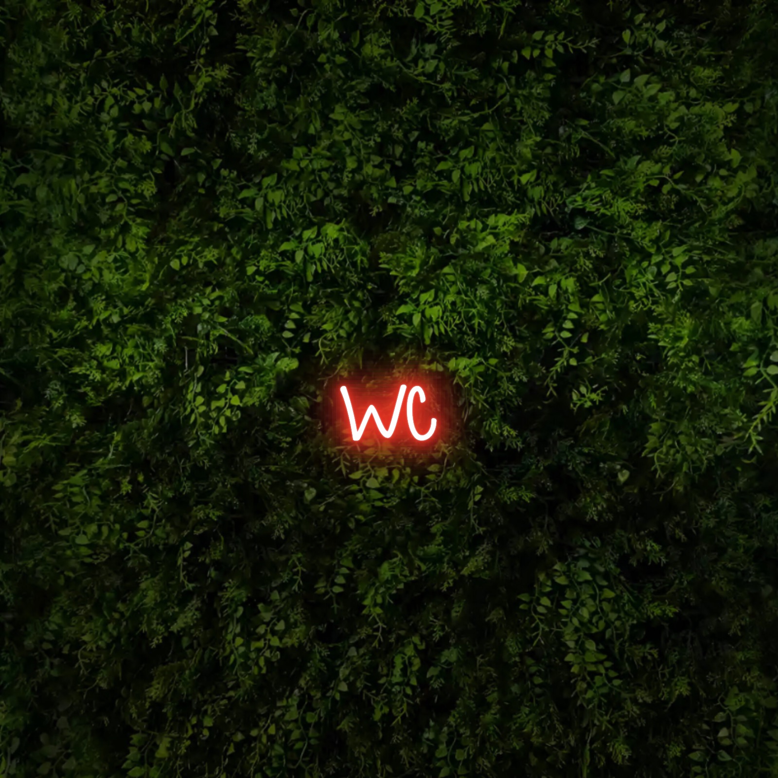WC – Neon Sign